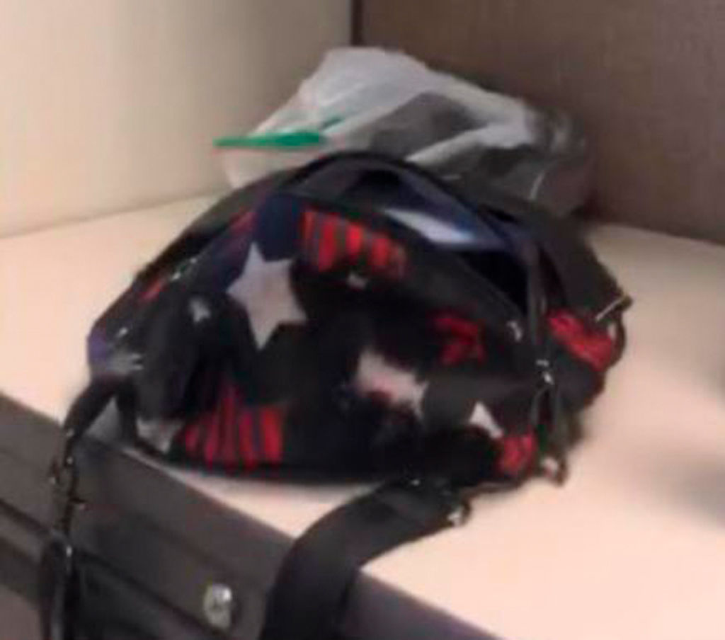 Mengqi Ji Elledge's purse